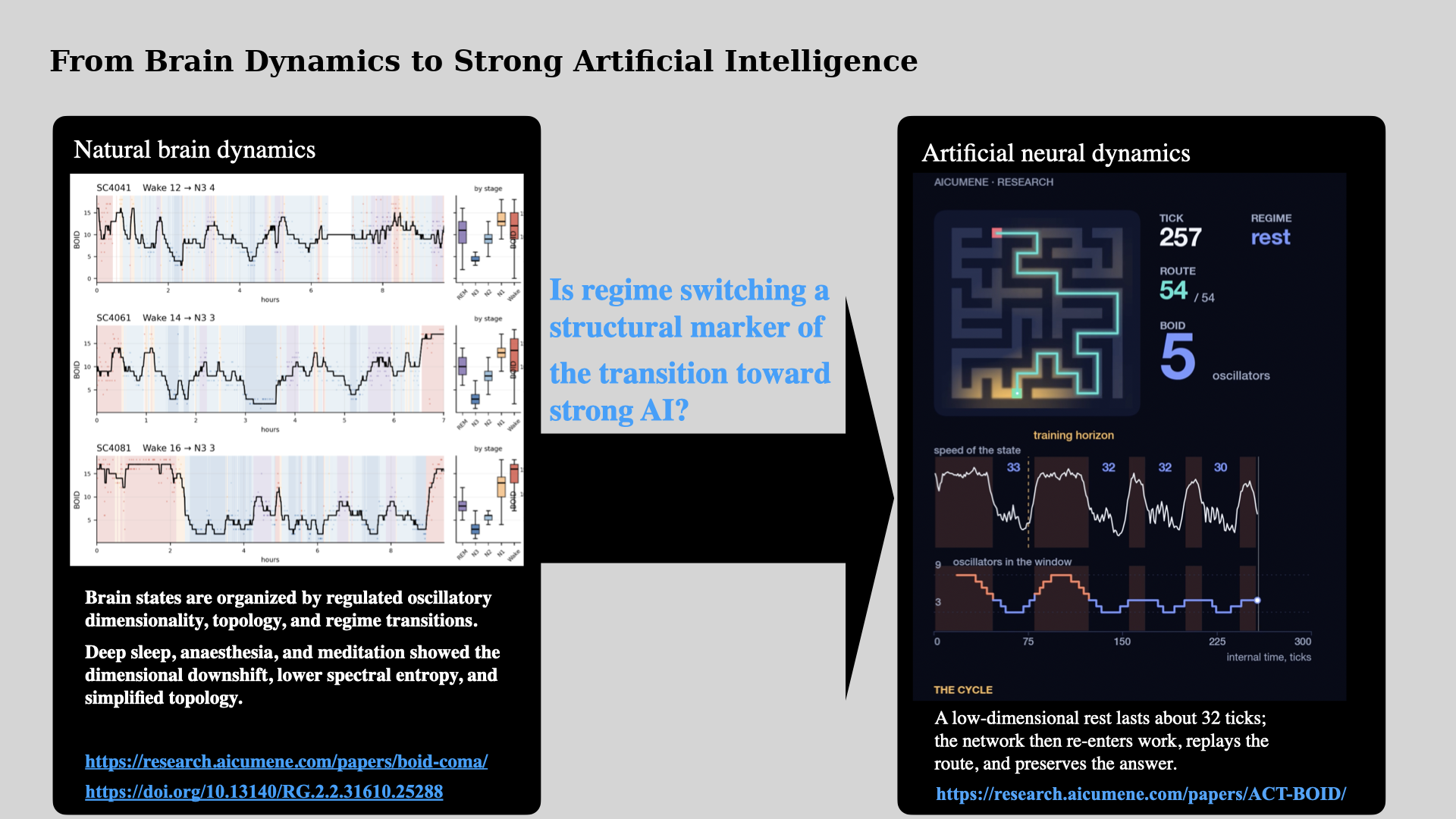 From brain-state dynamics to trained neural-system dynamics. Left: natural brain states can be described by regulated oscillatory dimensionality: wakefulness, sleep, anaesthesia, meditation, recovery, and pathological states differ not only by spectral power, but by the number, topology, and organiz