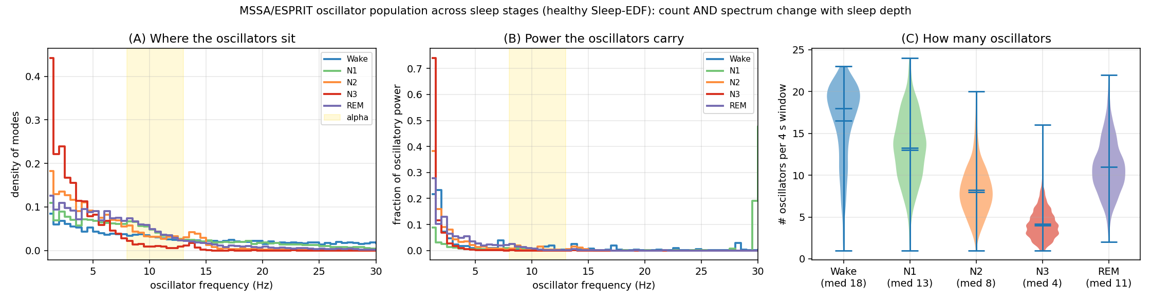 Healthy sleep downshifts in BOID. BOID analysis of Sleep-EDF recordings. (A) Oscillator-frequency distributions shift toward slow frequencies with sleep depth. (B) Oscillatory power is dominated by slow activity, especially in deep sleep (N3) and REM. (C) BOID decreases from wakefulness to deep sleep (N3), with REM intermediate.