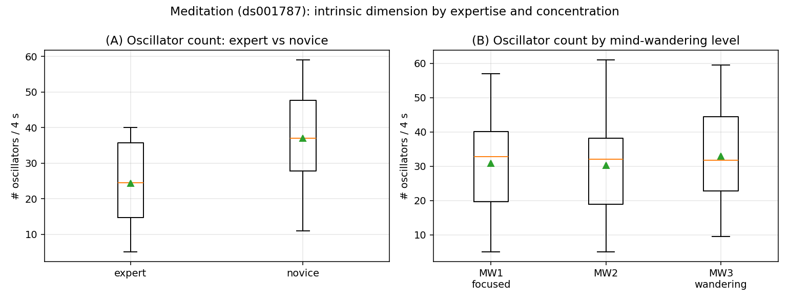 Meditation expertise lowers intrinsic dimension. (A) Oscillator count (BOID) is lower in experts than in novices. (B) Oscillator count (BOID) does not differ across reported mind-wandering levels.