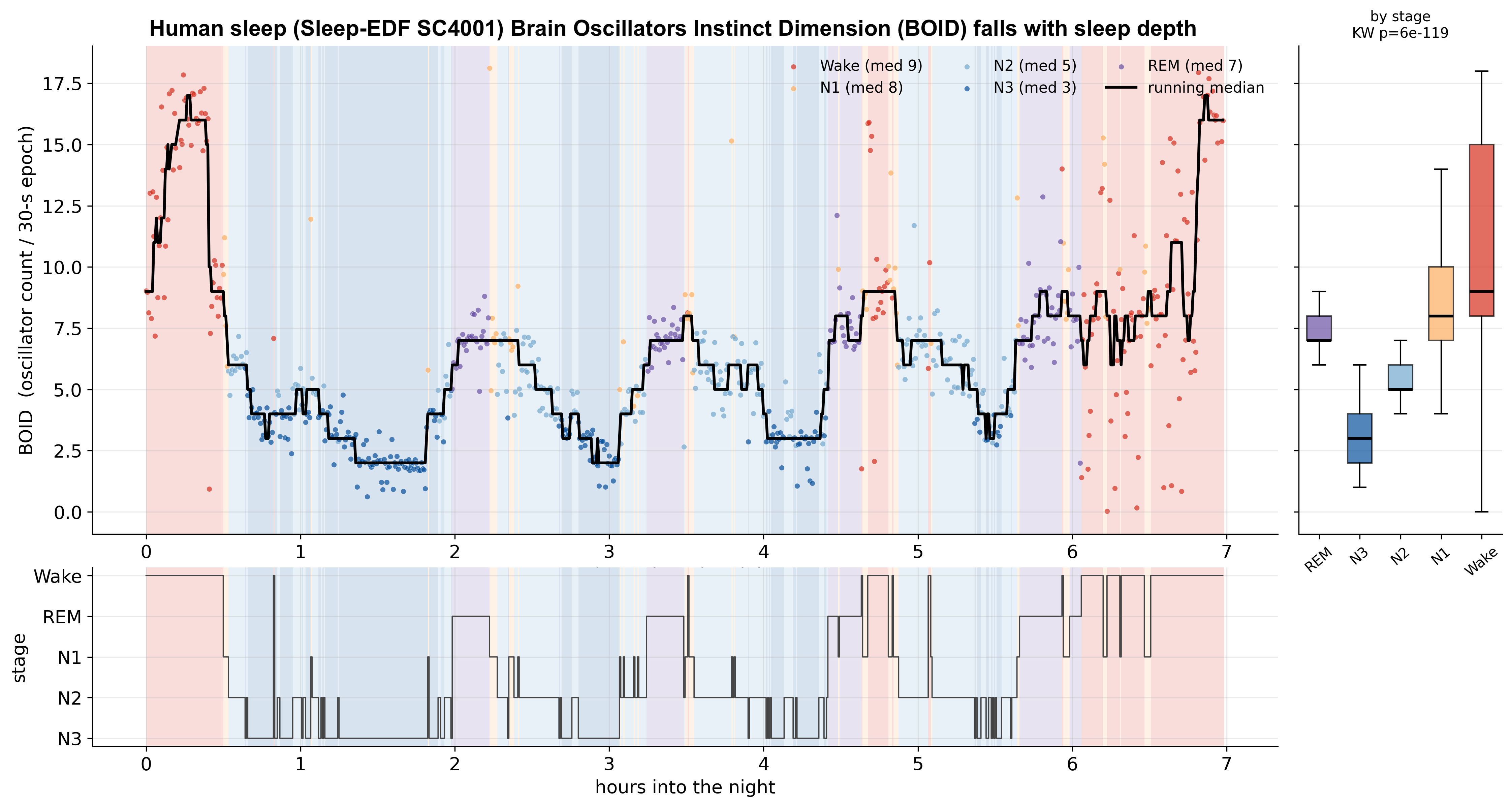 BOID follows sleep architecture across a whole night. Representative Sleep-EDF recording SC4001. The upper panel shows brain oscillator intrinsic dimension (BOID), defined as oscillator count per 30-s epoch, across approximately 7 h of sleep. Points are colored by manually scored sleep stage; the black curve shows the running median. Background shading indicates the hypnogram-derived sleep stage at each time point. BOID is highest during wakefulness at sleep onset and final awakening, decreases during non-REM sleep, and reaches its lowest values during N3 slow-wave sleep. REM and N1 occupy intermediate dimensional regimes. The lower panel shows the corresponding hypnogram, confirming that dimensional downshifts align with transitions into deeper non-REM sleep and that dimensional increases align with REM or wake transitions. The right panel summarizes BOID by sleep stage in the same recording, showing the expected ordering: Wake highest, N3 lowest, and REM/N1/N2 intermediate. This representative night illustrates that oscillator dimensionality is a continuous state variable tracking sleep depth and the transition between high-dimensional conscious activity and low-dimensional recovery mode.
